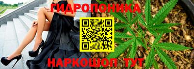 мяу мяу мука Новозыбков