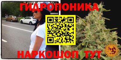 марихуана Новодвинск